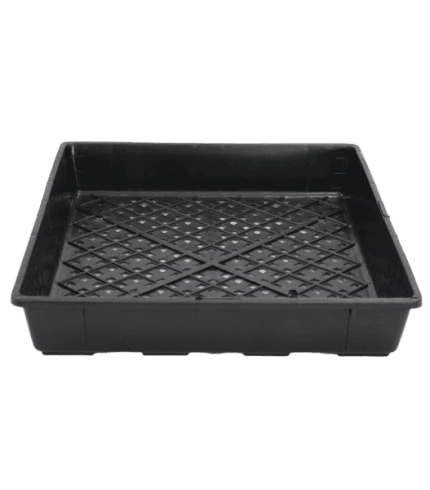 Seedling_punnet-tray-600