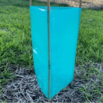 Tree Guard - 600mm x 400mm
