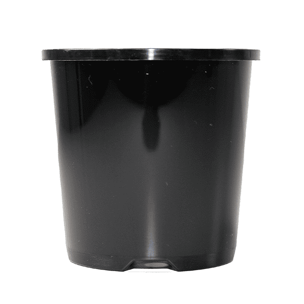 plastic pot 100mm