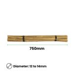 Bamboo Stakes – 750mm x 12_14mm – Qty 30 (2)