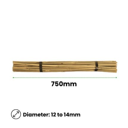 Bamboo Stakes – 750mm x 12_14mm – Qty 30 (2)