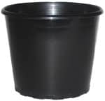 Squat Pot - 80mm