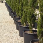 Mastelli Con Italy advanced plastic pot with handles, black, 155-litre capacity, 750mm diameter, and 510mm height, heavy-duty and made from durable polyethylene (PE), ideal for gardening and landscaping.