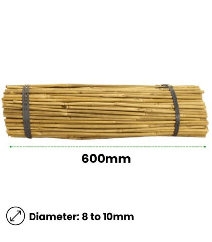 Bamboo Stakes – 600mm x 8_10mm – Qty 500 (2)
