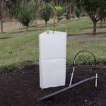 Tree Guards - Corn starch sleeve - Biodegradable - Image 2
