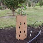 Tree Guards - GreenGuard - Biodegradable - Square - Image 4