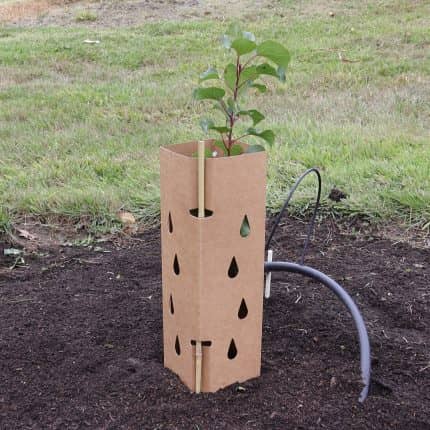 Tree Guard