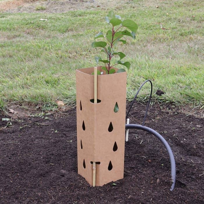 Tree Guard