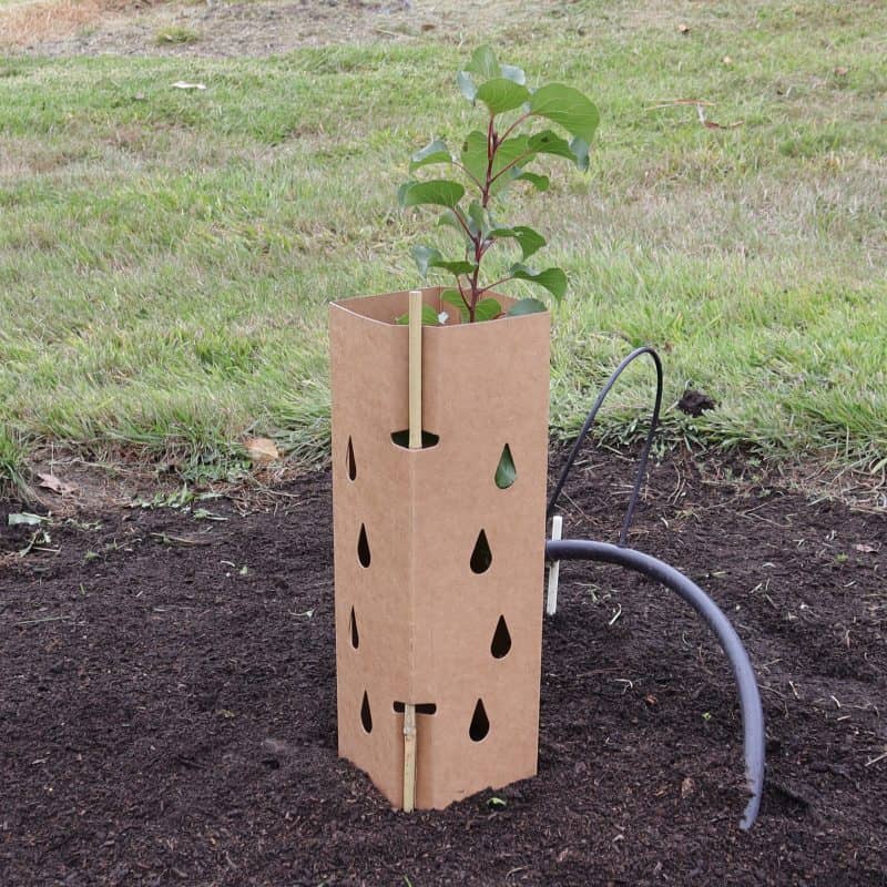 Tree Guard