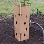 Tree Guards - GreenGuard - Biodegradable - Square