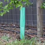 Vine Guard Sleeves - 450mm high x 100mm round - Qty 600 - Heavy Duty - Image 2