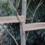 Jute Webbing - Image 2
