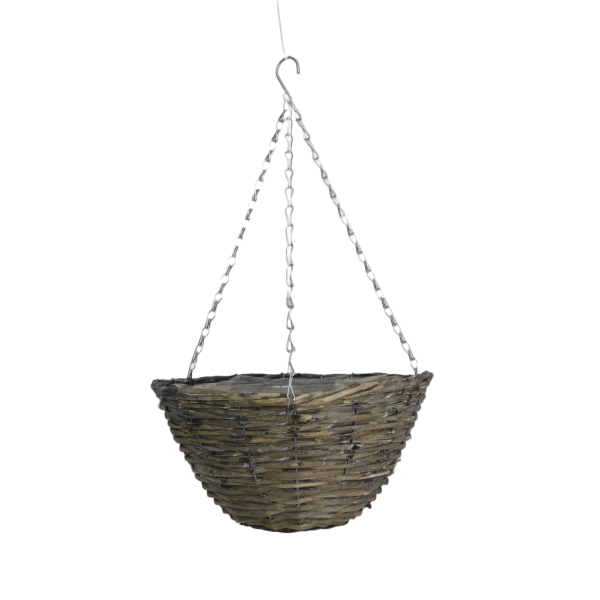 Hanging Basket Willow