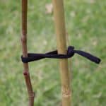 Soft Tie Plant Tie - Image 3