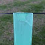 Vine Guards - Fluted & Tabbed - 900mm high x 90mm triangle - Image 4