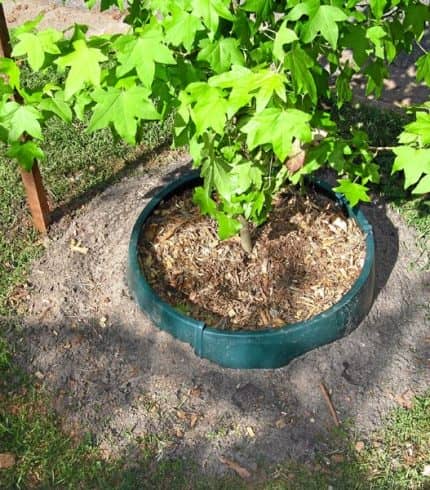 Greenwell Tree Surround Installed