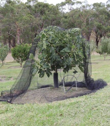 Anti Bird Netting Black Installed
