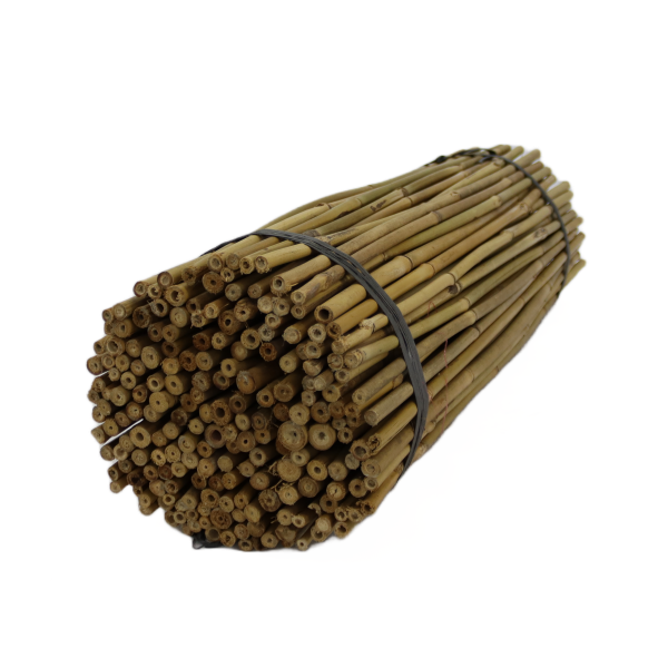 Bamboo Stakes 750 Mm Pack Bundle