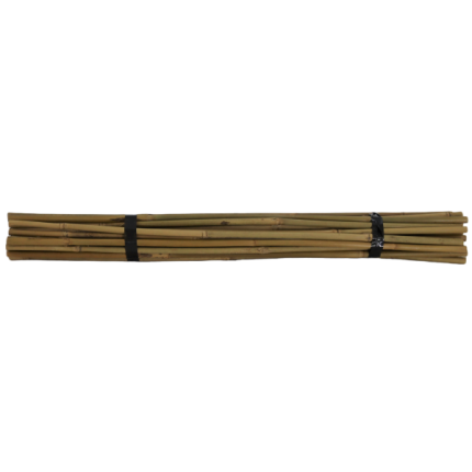 Bamboo Stakes 750mm 30 Bundle Horizontal