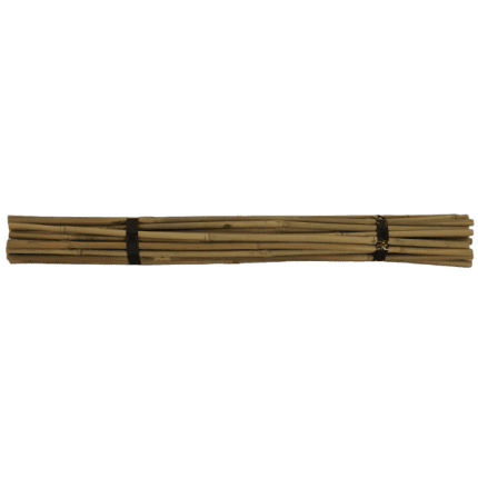 Bamboo Stakes 750mm 30 Bundle Horizontal