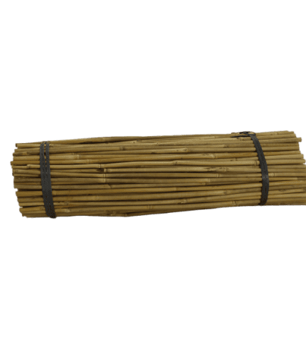 Bamboo Stakes 750mm Bundle Horizontal
