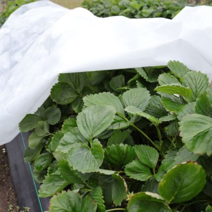 Freeze Protection Cloth For Plants