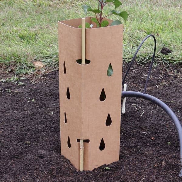 Tree Guards Biodegradable