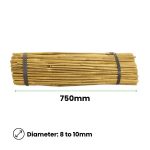 Bamboo Stakes – 750mm x 8_10mm – Qty 500 (2)