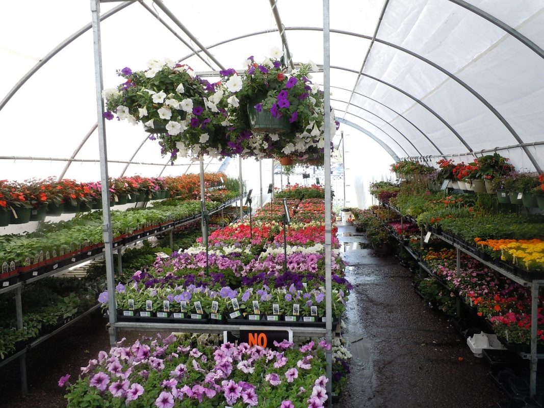 Greenhouse Vertical Gardening