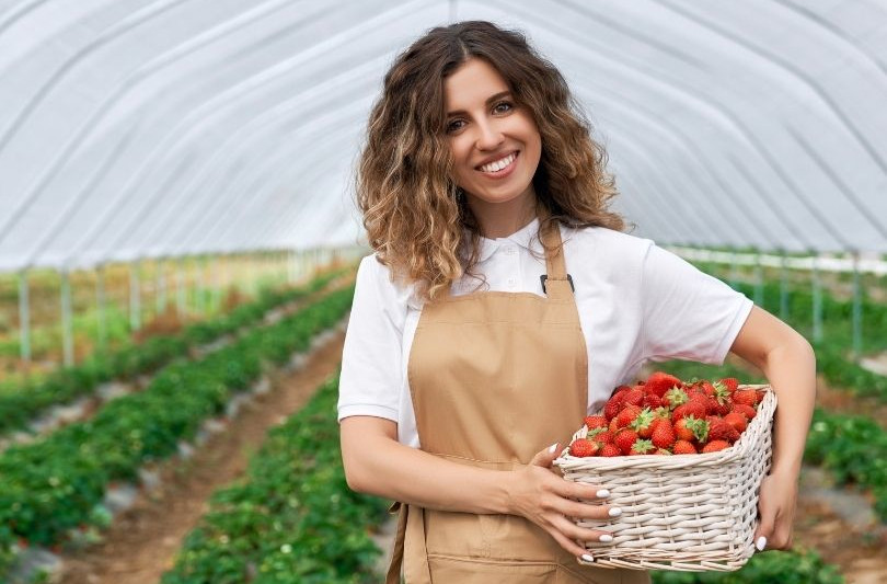 Growing Strawberries in Greenhouse