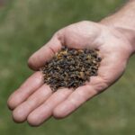 Vasili's Superfood Course - Slow Release - 2.5kg | 5kg - Image 5