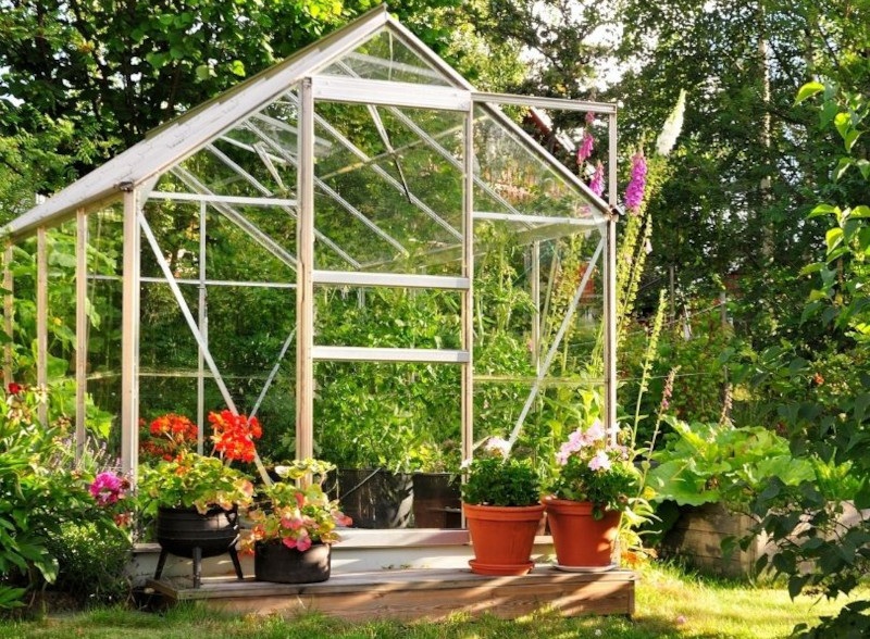 What to grow in a greenhouse?