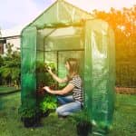 Holman Walk in Greenhouse with Misting - Image 3