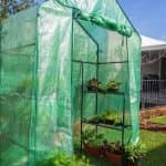 Holman Walk in Greenhouse with Misting - Image 2