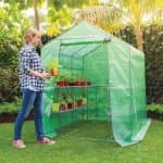 Holman 2m Deep Walk in Greenhouse with Misting - Image 2