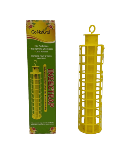 Citrus Gall Wasp & Fruit Fly Trap – Insectrap.1