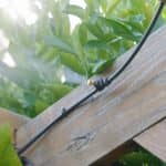 Holman 25 Meter Misting Kit with Tap Timer - Image 3