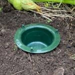 Snail Trap - Image 3