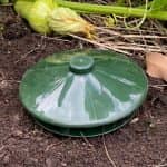Snail Trap - Image 4