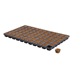 Eazyplug - 77 Cell Tray - CT-77