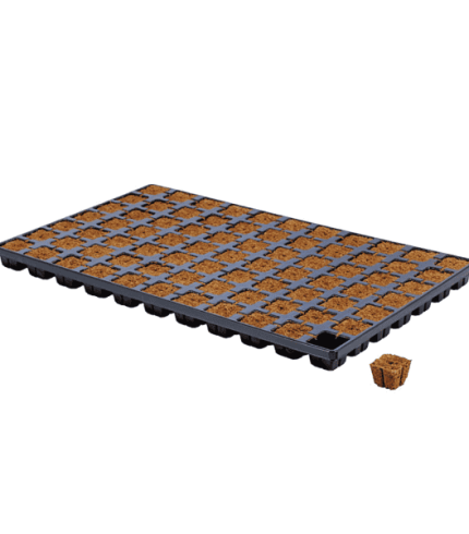 Easy-Plug-CT77-600