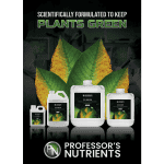 Professor's Go Green - Image 5