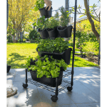 Holman - GreenWall Mobile Garden Kit - Image 4
