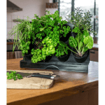 Holman - Freestanding Benchtop GreenWall - Image 3