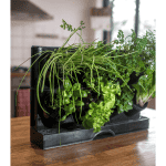 Holman - Freestanding Benchtop GreenWall - Image 4