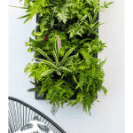 Holman - GreenWall Vertical Planting Kit - Image 2