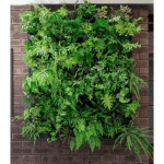 Holman - GreenWall Vertical Planting Kit - Image 3