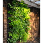 Holman - GreenWall Vertical Planting Kit - Image 4
