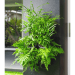 Holman - Slim Vertical Planting Kit - Image 2