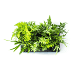 Holman - GreenWall Vertical Planting Kit
